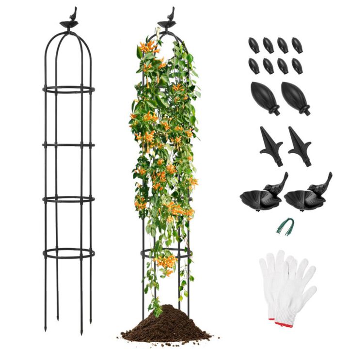 Hivvago 2-Pack Garden Obelisk Trellis for Climbing Plants