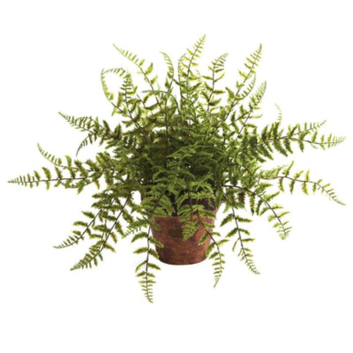 Hivvago Fern w/Decorative Planter (Set of 2)