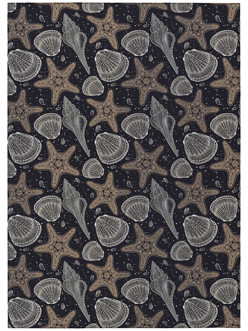 Seabreeze SZ4 Black 3' x 5' Rug