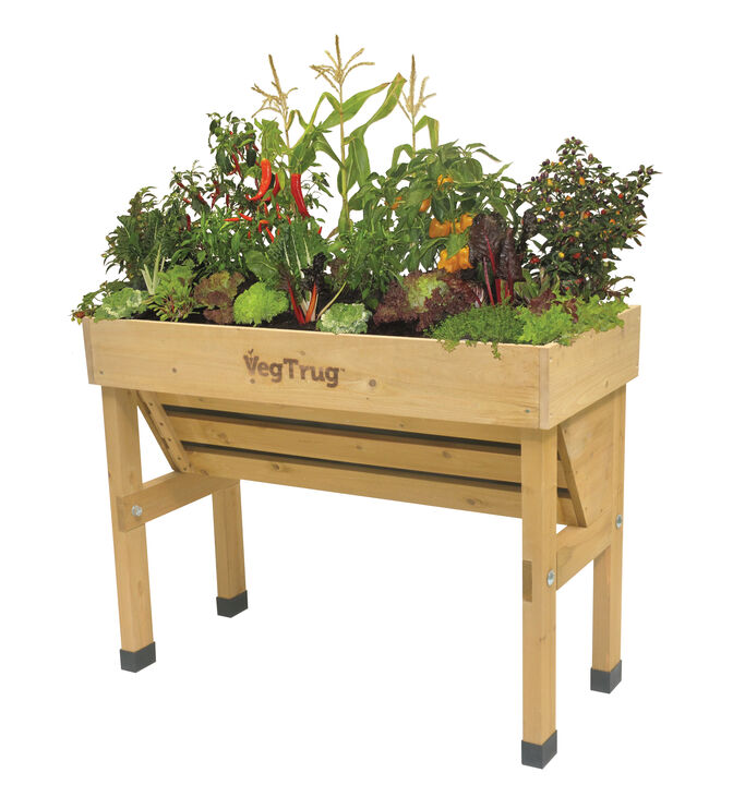 Small Wall Hugger Raised Planter VegTrug  - Natural (FSC 100%)