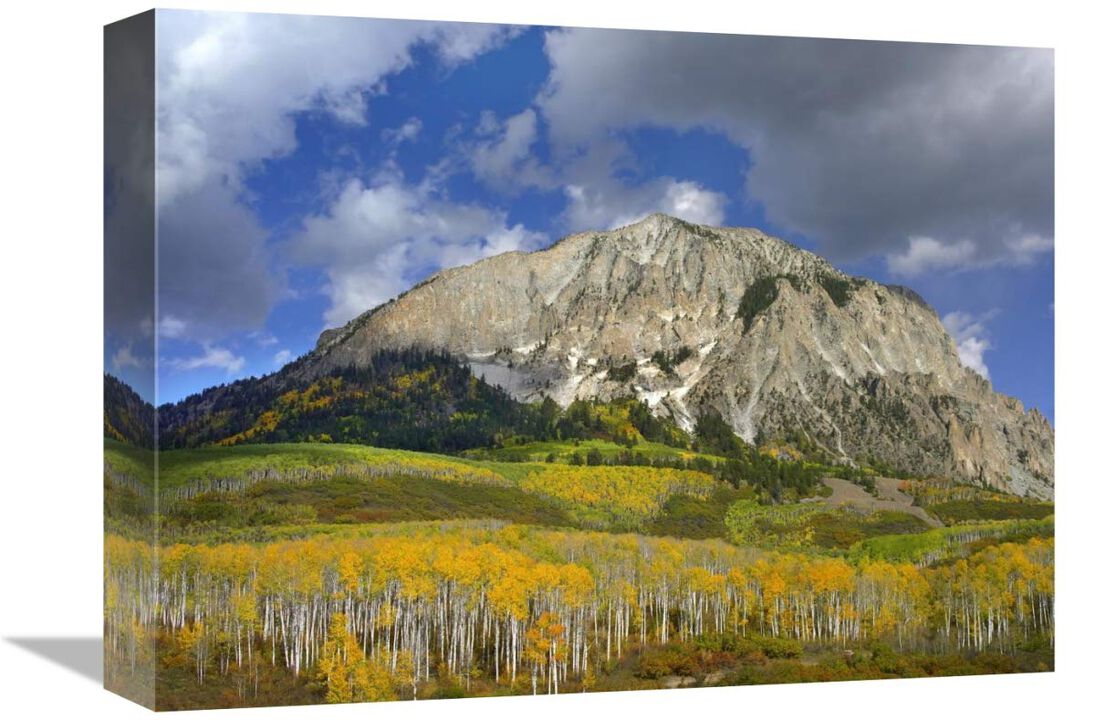 Marcellina Mountain and aspen forest in Raggeds Wilderness, Colorado-Canvas Art-16x12