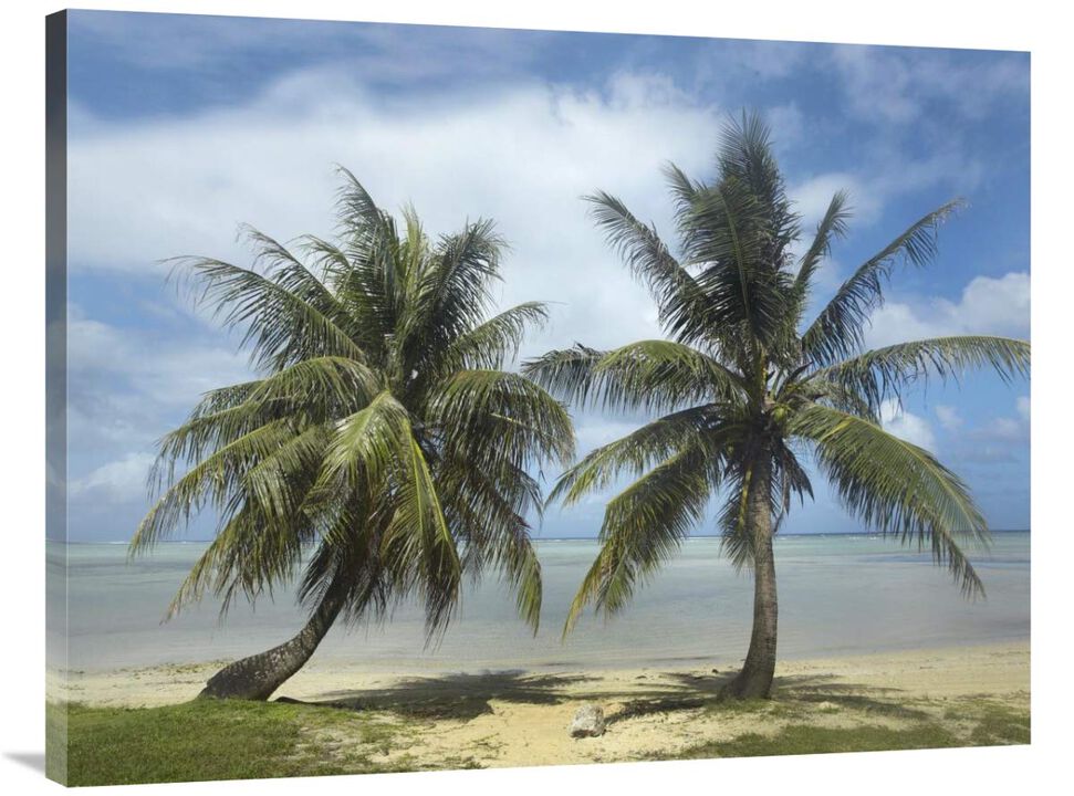 Palm trees, Agana Beach, Guam-Canvas Art-40x30