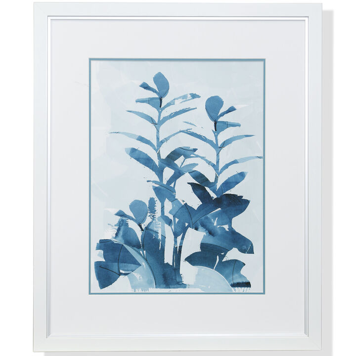 Framed Print Under Glass