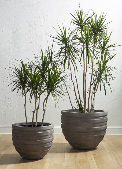 June Extra Small Planter in Raw Gray