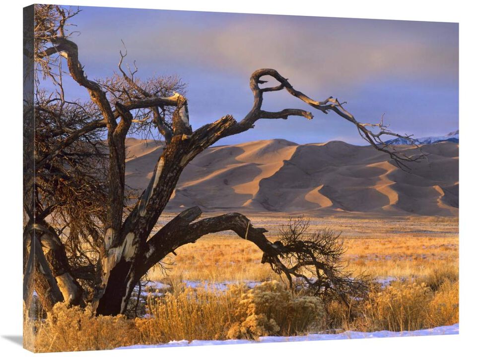Grasslands and dunes, Great Sand Dunes National Monument, Colorado-Canvas Art-35x28