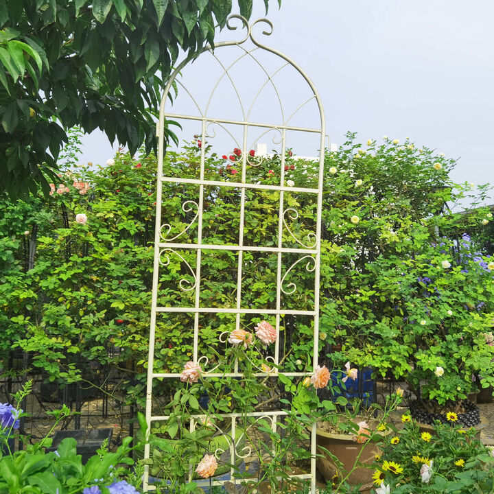 Streamdale Metal Garden Trellis 86.7" X 19.7" for Climbing Plants