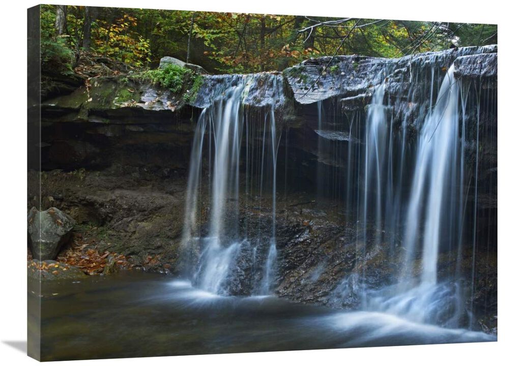 Cayuga Falls, Ricketts Glen State Park, Pennsylvania-Canvas Art-32x24