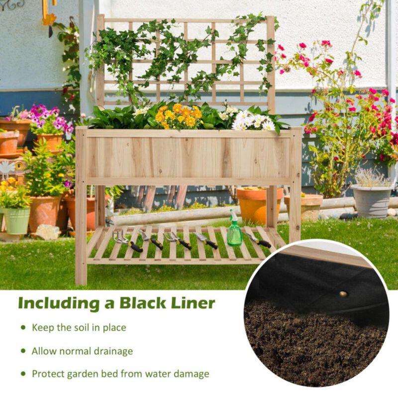 Hivvago Raised Garden Bed Elevated Wooden Planter Box with Trellis