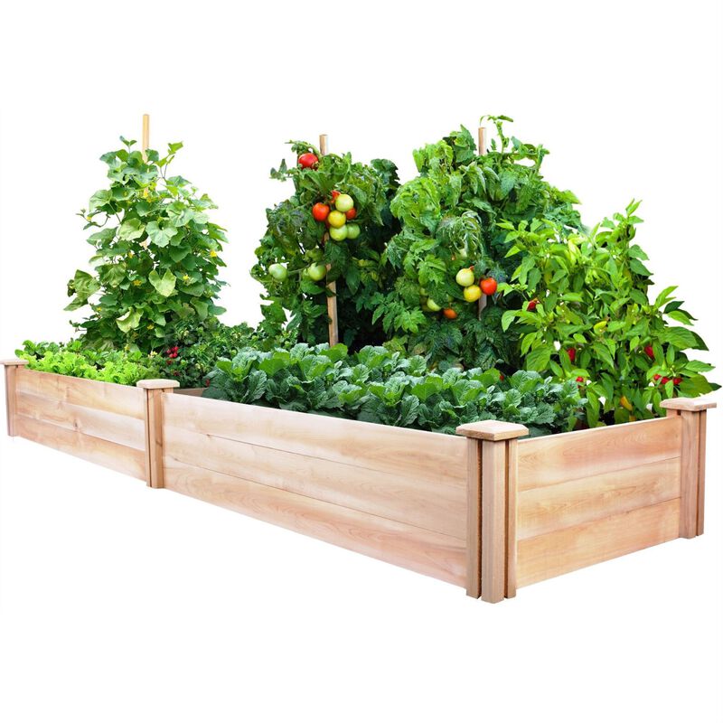 QuikFurn Cedar Wood 2-Ft x 8-Ft Outdoor Raised Garden Bed Planter Frame - Made in USA