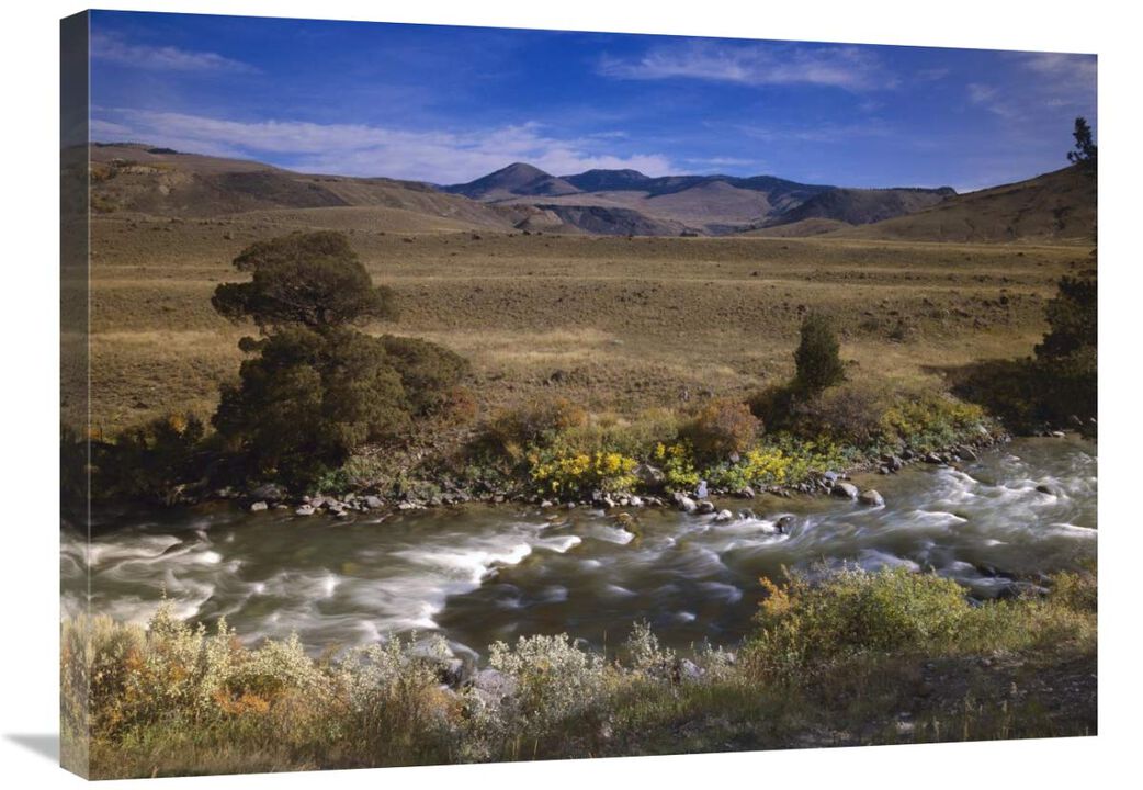 River flowing though meadow, Yellowstone National Park, Wyoming-Canvas Art-32x24