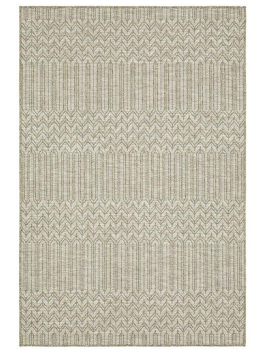 Tortuga 7'10" x 10' Beige Rug