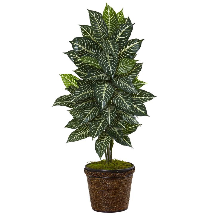 Hivvago 4" Zebra Plant in Coiled Rope Planter