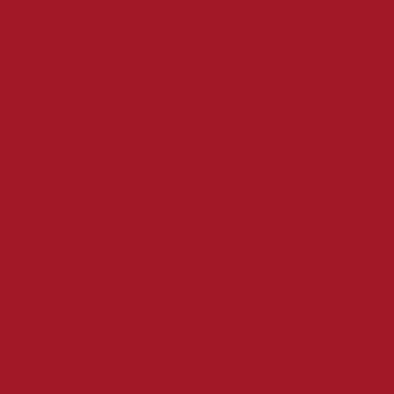 Convenience Concepts Designs2Go Serving Tray, Cranberry Red
