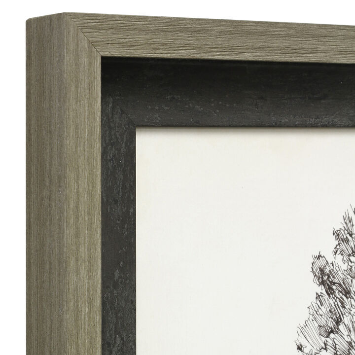 Pacific Northwest Tree II Framed Print