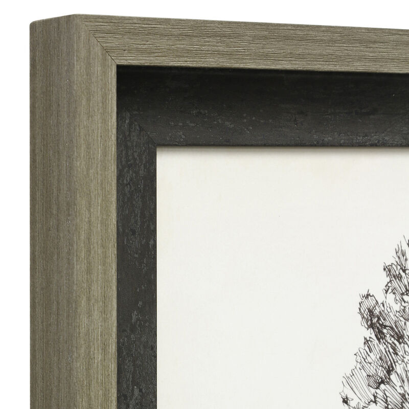 Pacific Northwest Tree II Framed Print