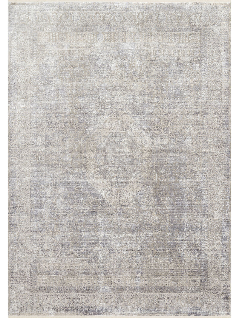 Franca FRN01 Silver/Pebble 3'7" x 5'8" Rug