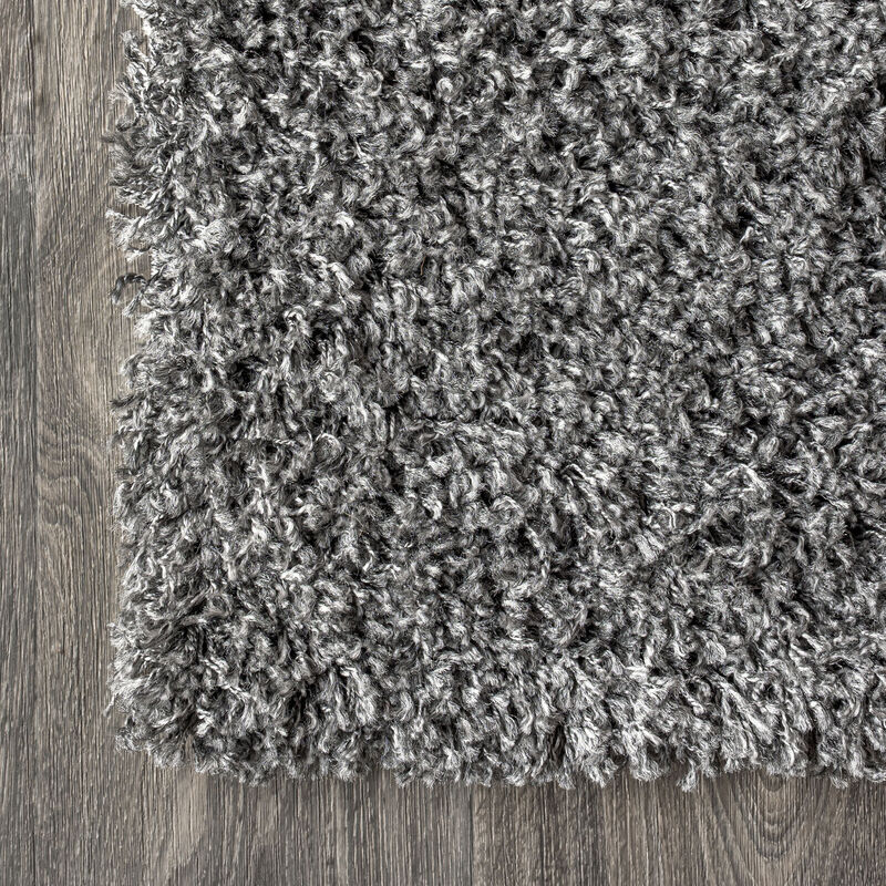 Mercer Shag Plush Area Rug