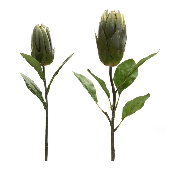 Protea Leaf Stem for Exotic Home Décor and Floral Arrangements (Set of 6)