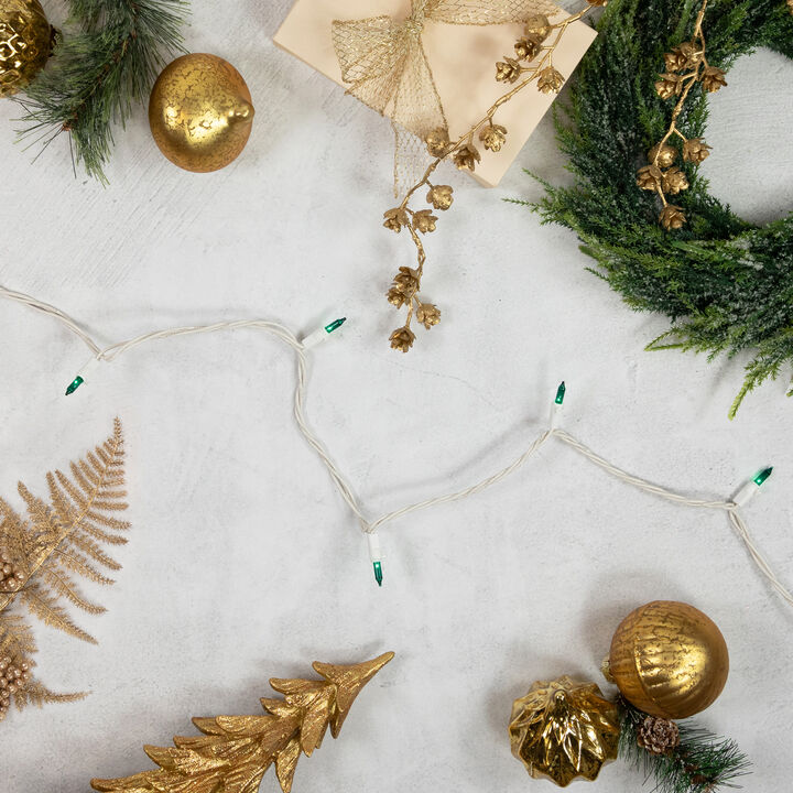 50 Count Teal Mini Christmas Light Set  24.5 ft White Wire