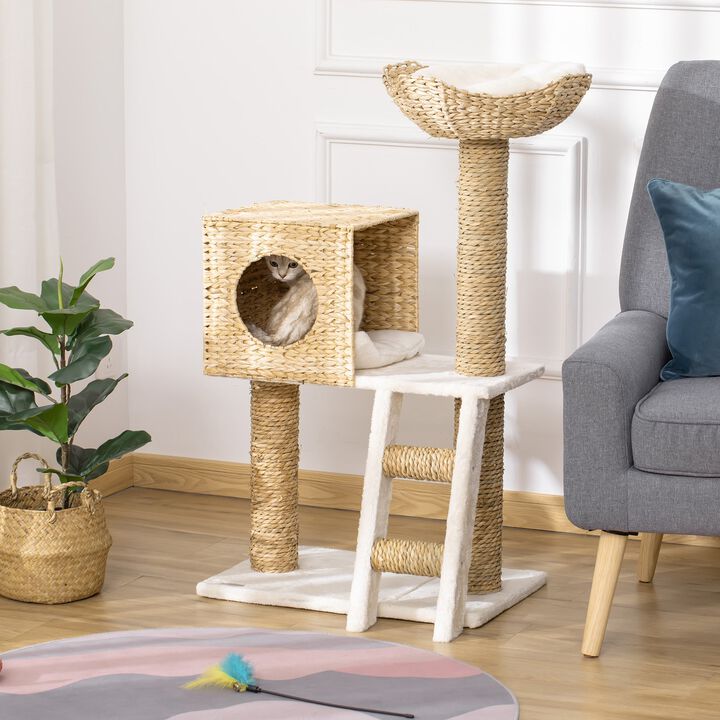Natural Cat Playground: Modern Tree with Condo & Scratching Posts