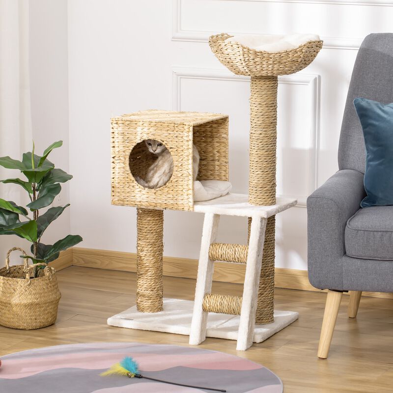 Natural Cat Playground: Modern Tree with Condo & Scratching Posts