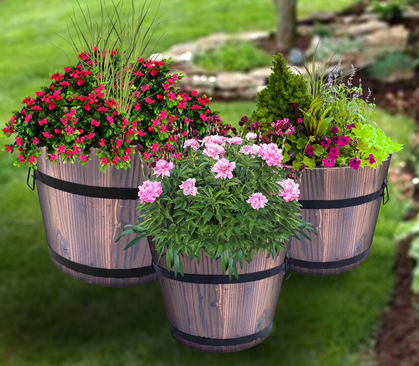 Set of 3 Extra Large Wooden Whiskey Barrel Planters