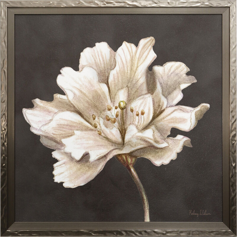 Cream Willow Blossom I Framed Print