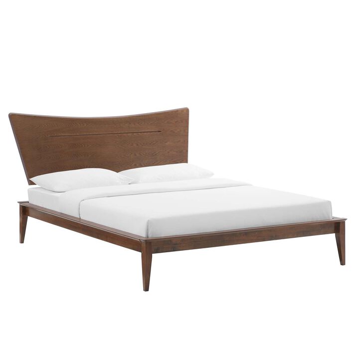 Modway - Astra Queen Wood Platform Bed Walnut