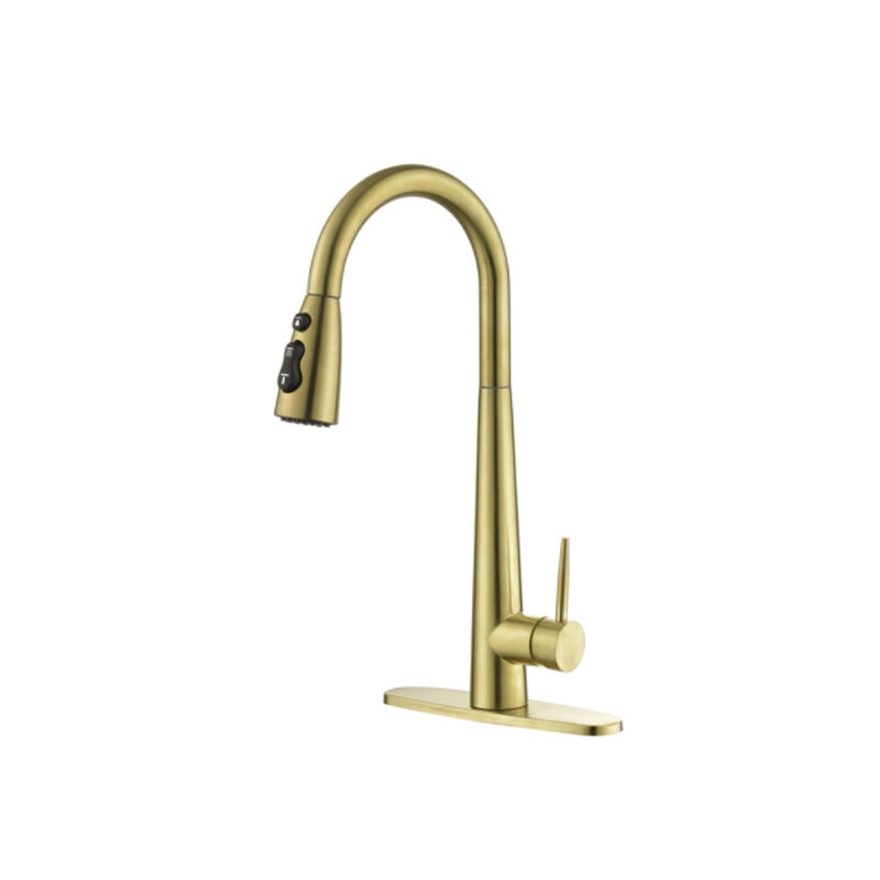 Kitchen Sink Faucet with Pull-Out Sprayer, Single Handle, Fingerprint-Resistant Finish