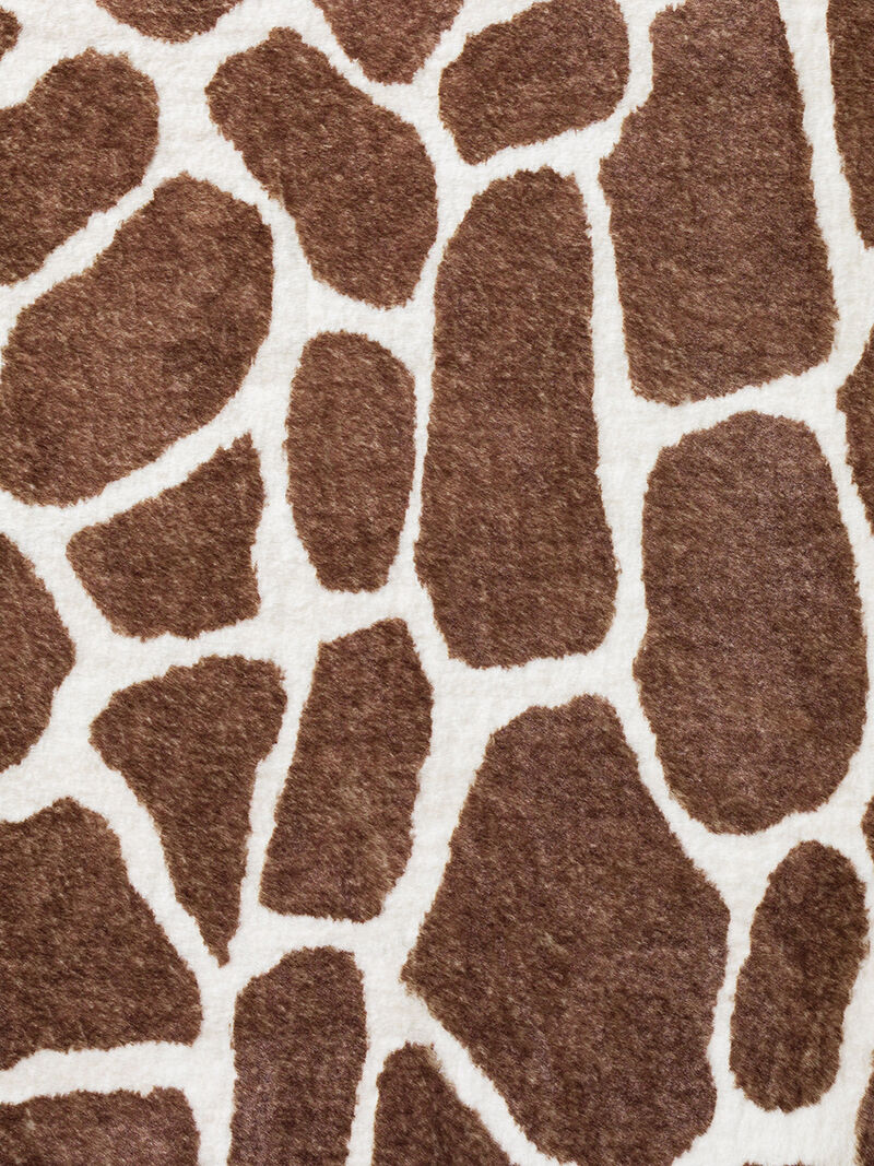 Akina AK4 Chocolate 3' x 5' Rug