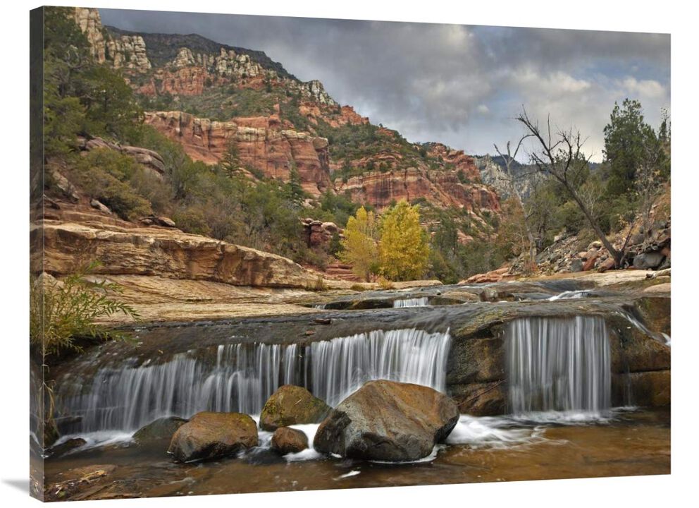 Oak Creek in Slide Rock State Park near Sedona, Arizona-Canvas Art-40x30