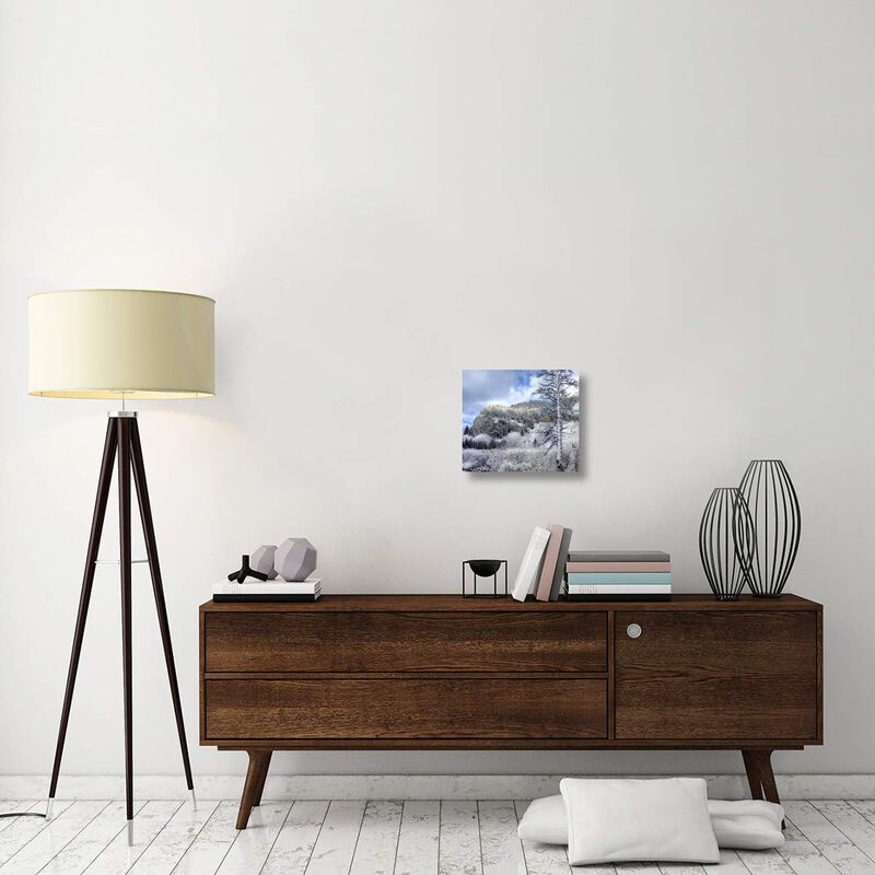 Light snow covering Boulder Mountains, Idaho-Canvas Art-16x14.08
