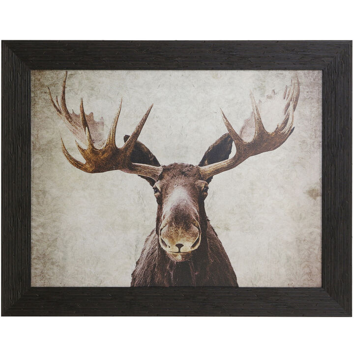 MOOSE