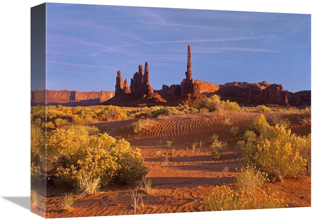 Totem Pole and Yei Bi Chei with sand dunes and shrubs, Monument Valley, Arizona and Utah border-Canvas Art-16x12