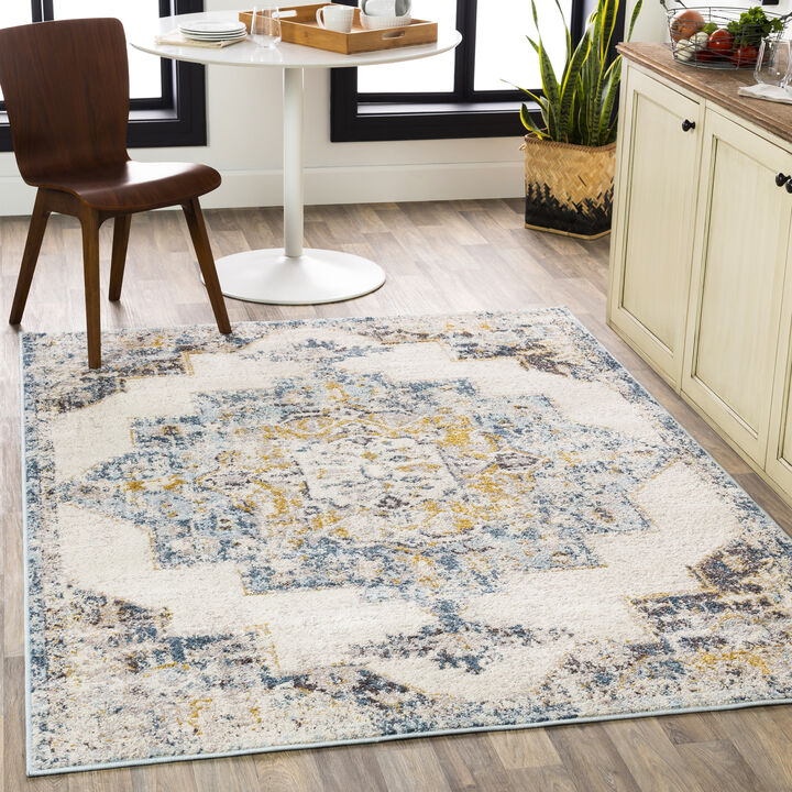 Ankara AKR-2309 2' x 3' Blue Rug