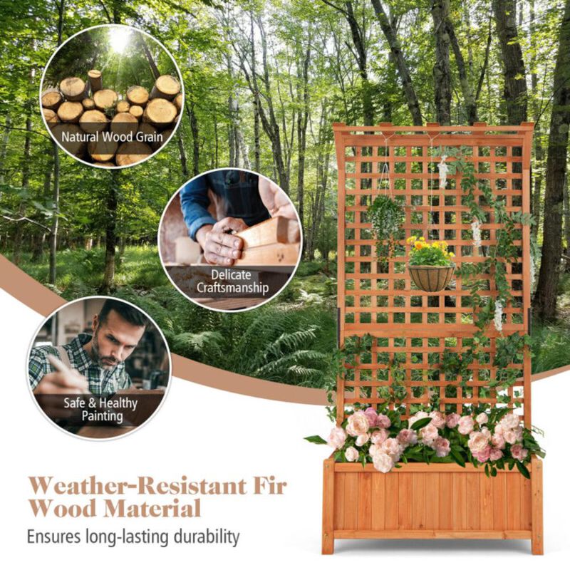 Hivvago Raised Garden Bed with Trellis and Hanging Roof