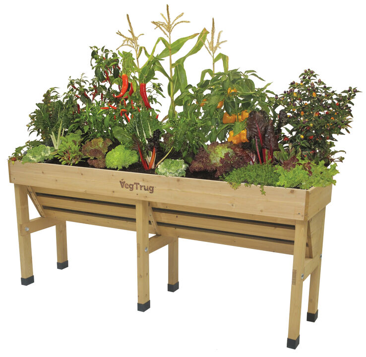 Medium Wall Hugger - Natural (FSC 100%)
