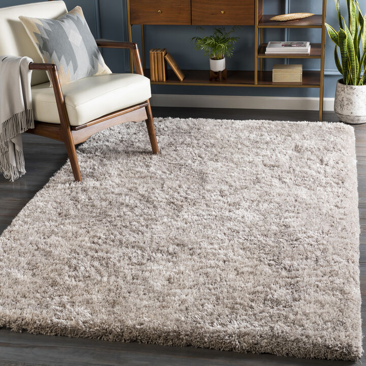 Grizzly GRIZZLY-9 2' x 3' Gray Rug