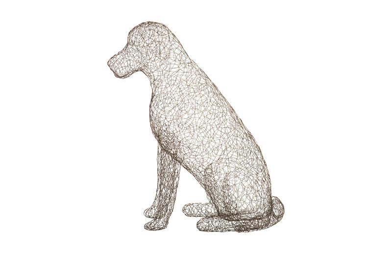 Crazy Wire Retriever