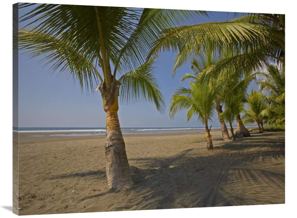 Playa Esterillos Este, Puntarenas, Costa Rica-Canvas Art-40x30
