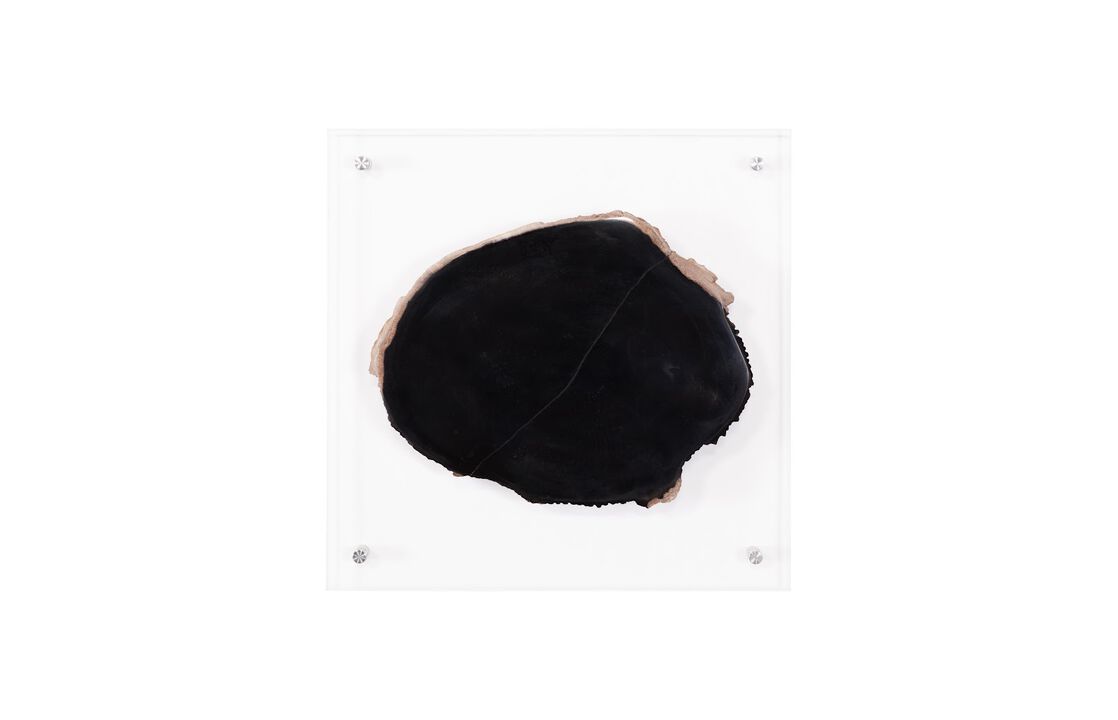 Floating Petrified Slices