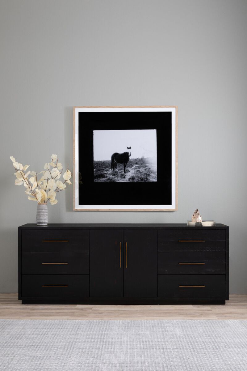 Blank Horse by Annie Spratt