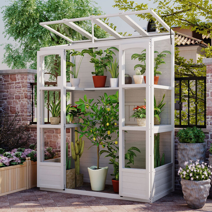78" Wooden Greenhouse Cold Frame with Skylights, Shelves