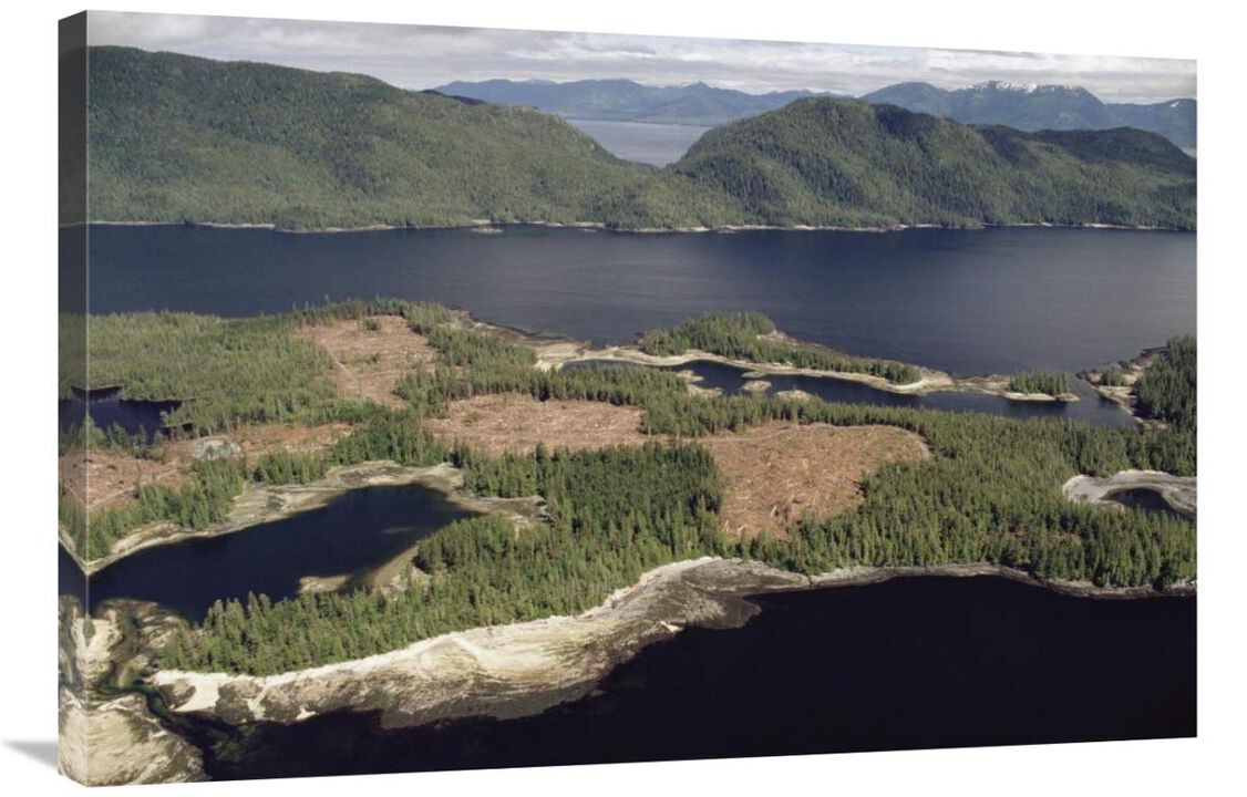 Aerial view of clearcut temperate rainforest on Prince of Wales Island, Tongass National Forest, Alaska-Canvas Art-36x24