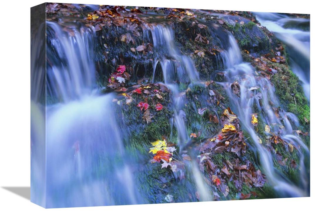 Laurel Creek cascades, Great Smoky Mountains National Park, Tennessee-Canvas Art-16x12