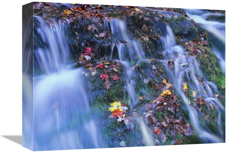 Laurel Creek cascades, Great Smoky Mountains National Park, Tennessee-Canvas Art-16x12
