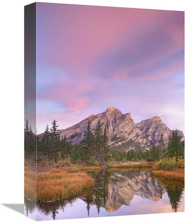 Mount Kidd and trees reflected in pond, Alberta, Canada-Canvas Art-12x16