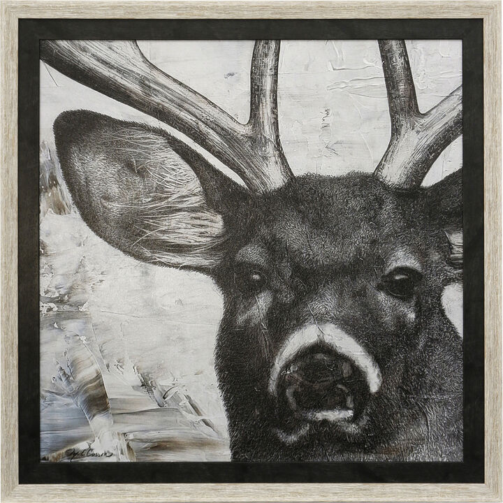 Deer Portrait