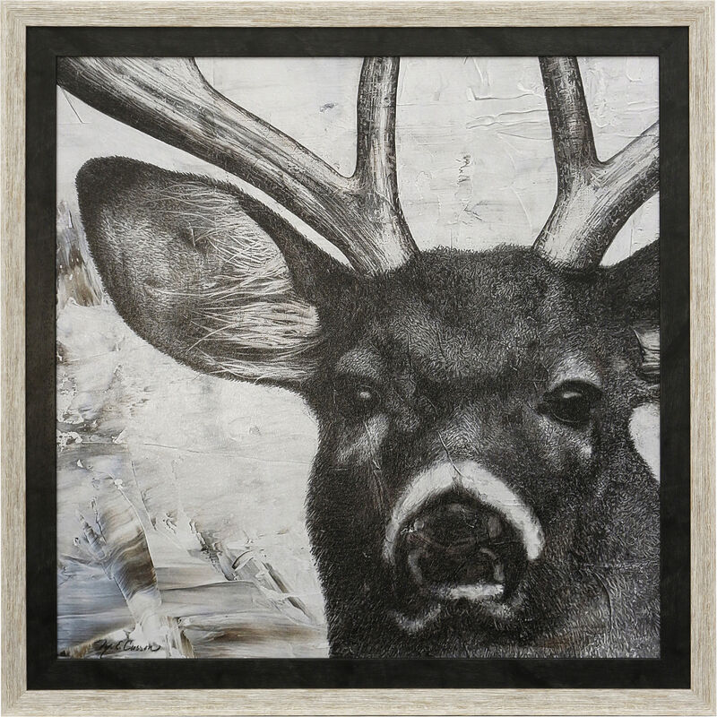 Deer Portrait