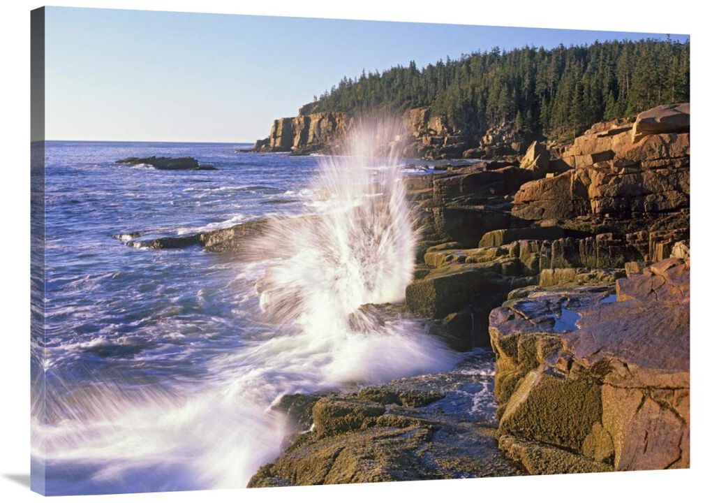 Atlantic Coast near Thunder Hole, Acadia National Park, Maine-Canvas Art-40x30